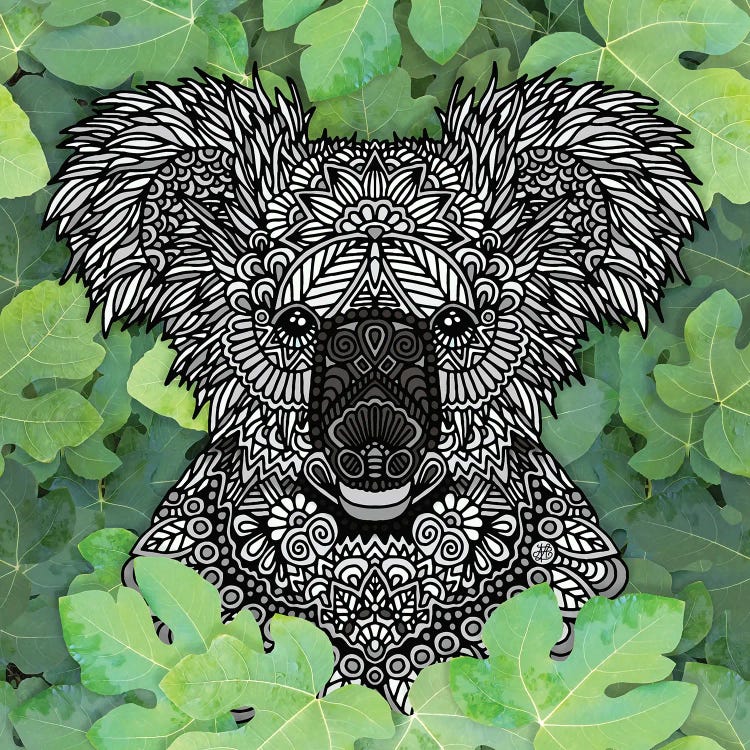 Jungle Koala