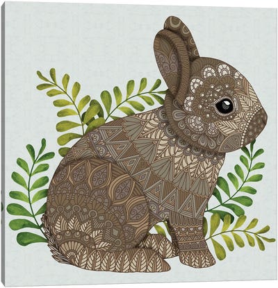 Baby Bunny Canvas Art Print - Angelika Parker