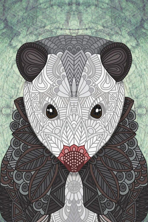 Ornate Opossum