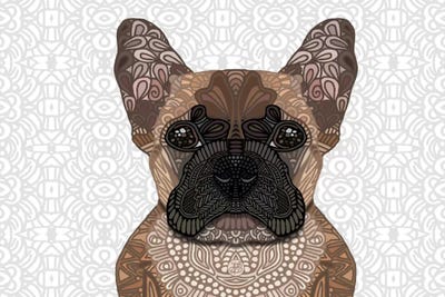 French Bulldog by Angelika Parker acrylic art print