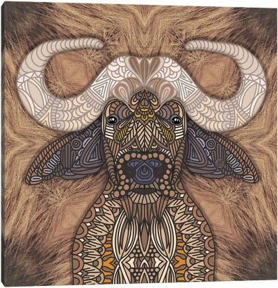 African Water Buffalo (Square) Canvas Art Print - Angelika Parker
