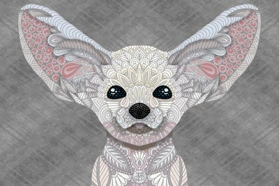Fennec Fox by Angelika Parker canvas print