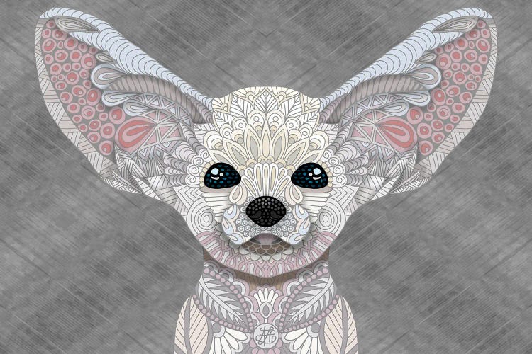 Fennec Fox