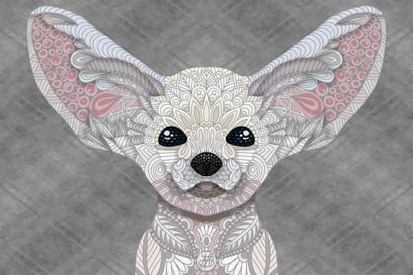 Fennec Fox