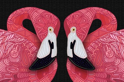 Pink Flamingos Black by Angelika Parker canvas print