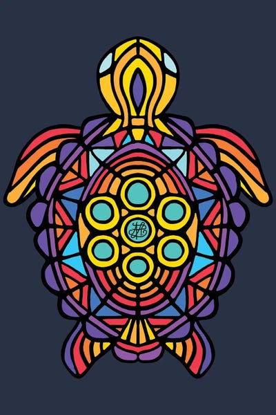 Turtles: Turtle by Angelika Parker