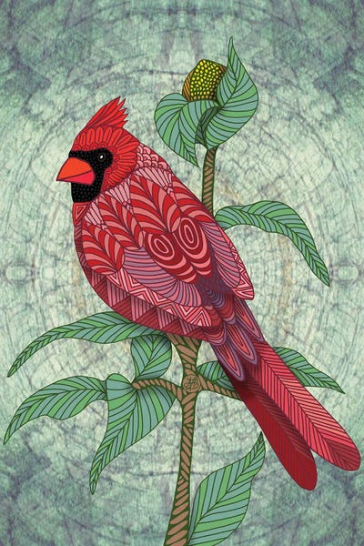 Cardinals: Virginia Cardinal by Angelika Parker