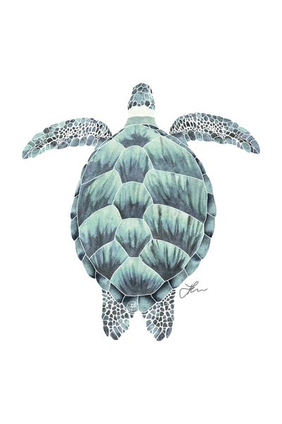 Green Sea Turtle X