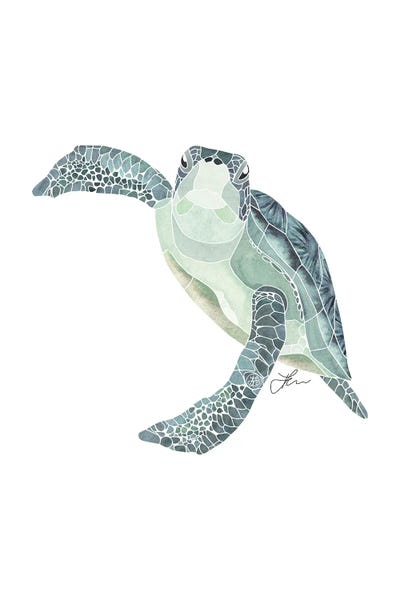 Green Sea Turtle XII