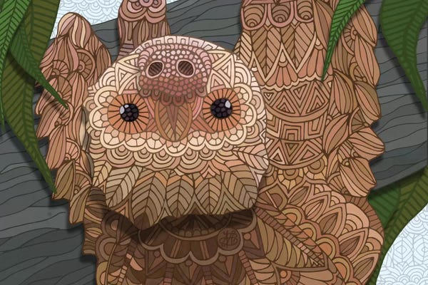 Sloths: Hang In There Buddy by Angelika Parker