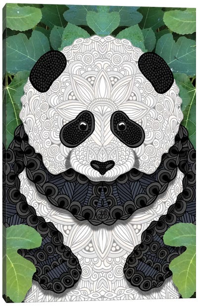 Little Panda Canvas Art Print - Angelika Parker