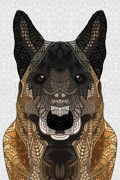 Malinois - Belgian Shepherd