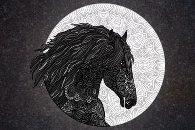 Black Horse by Angelika Parker canvas print