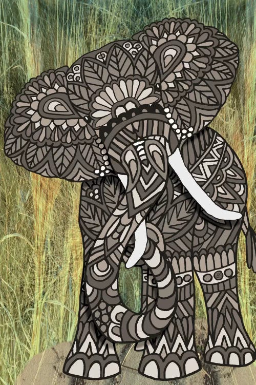 Ornate Elephant