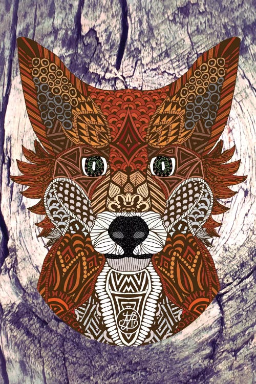 Ornate Fox