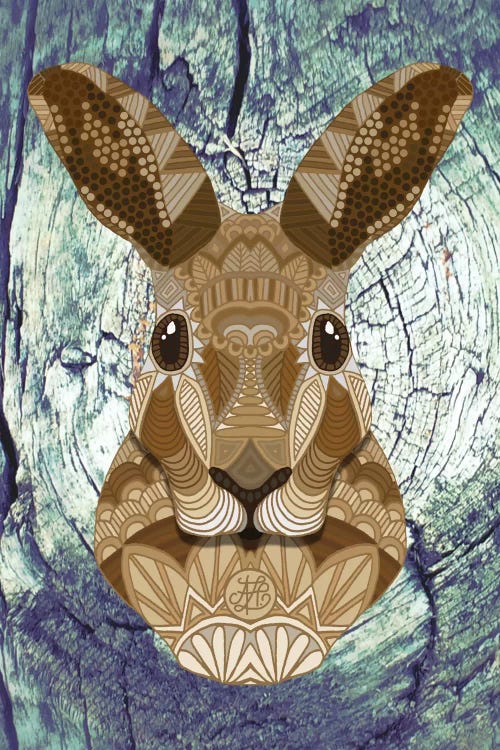 Ornate Hare