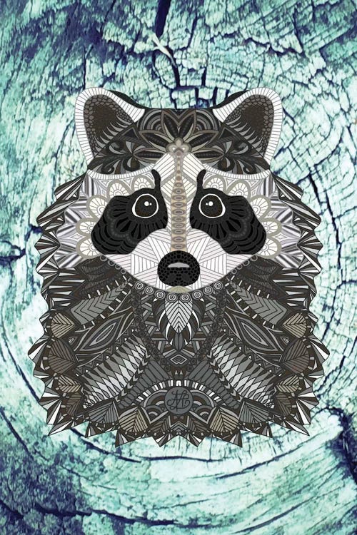 Ornate Raccoon