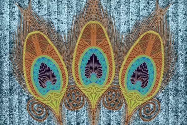 Feathers: Peacock Feathers by Angelika Parker