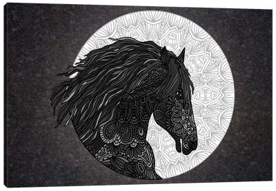 Black Horse Canvas Art Print - Angelika Parker