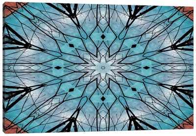 Snowflake Mandala Canvas Art Print