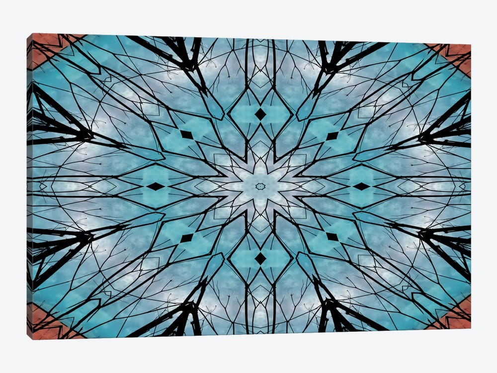 Snowflake Mandala 1-piece Canvas Artwork