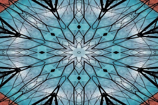 Mandalas: Snowflake Mandala by Angelika Parker