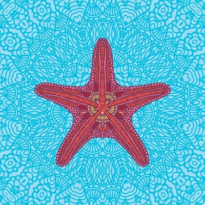 Starfish by Angelika Parker canvas print