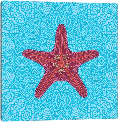 Starfish Canvas Art Print - Sea Shell Art