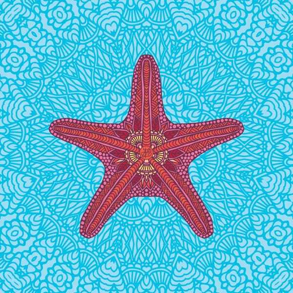 Starfish: Starfish by Angelika Parker