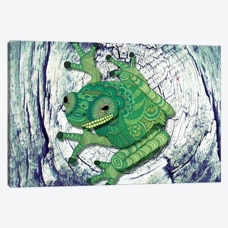 Tree Frog Canvas Print #ANG98} by Angelika Parker Canvas Art