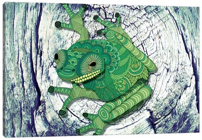 Tree Frog Canvas Art Print - Angelika Parker
