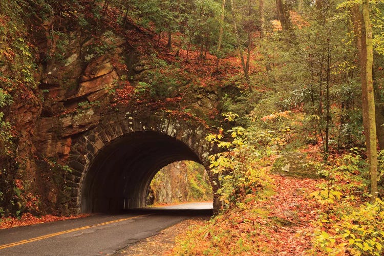 USA, Tennesse. Tunnel along the road to Cades Cove in the fall. by Joanne Wells wall art