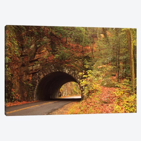 USA, Tennesse. Tunnel along the road to Cades Cove in the fall. Canvas Print #ANN17} by Joanne Wells Canvas Artwork