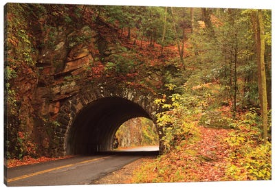 USA, Tennesse. Tunnel along the road to Cades Cove in the fall. Canvas Art Print