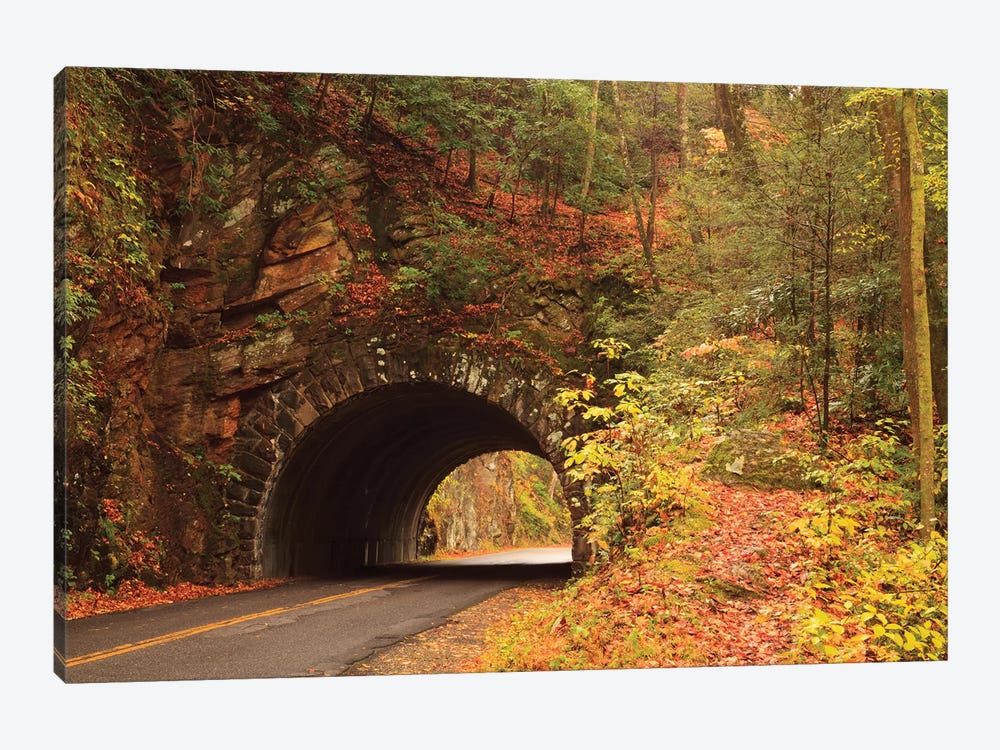 USA, Tennesse. Tunnel along the road to Cades Cove in the fall. by Joanne Wells 1-piece Canvas Art