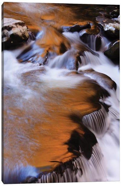 USA, Tennessee. Cascades along the Little River in the Smoky Mountains. Canvas Art Print
