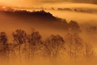 USA, Tennessee. Early morning fog in the Smoky Mountains. by Joanne Wells canvas print