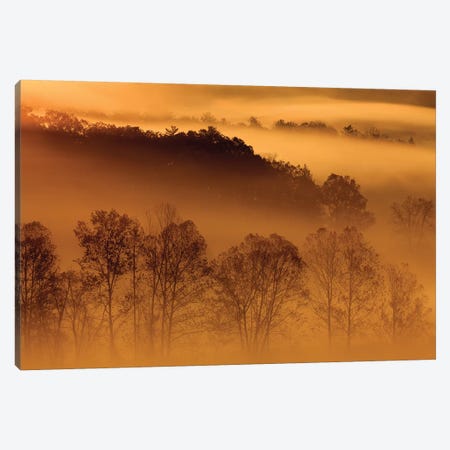 USA, Tennessee. Early morning fog in the Smoky Mountains. Canvas Print #ANN20} by Joanne Wells Canvas Artwork