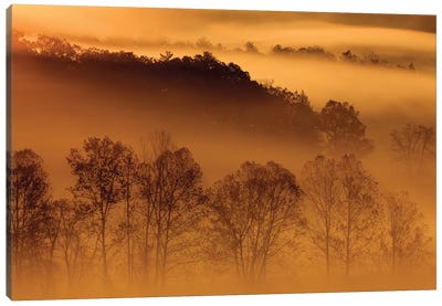 USA, Tennessee. Early morning fog in the Smoky Mountains. Canvas Art Print