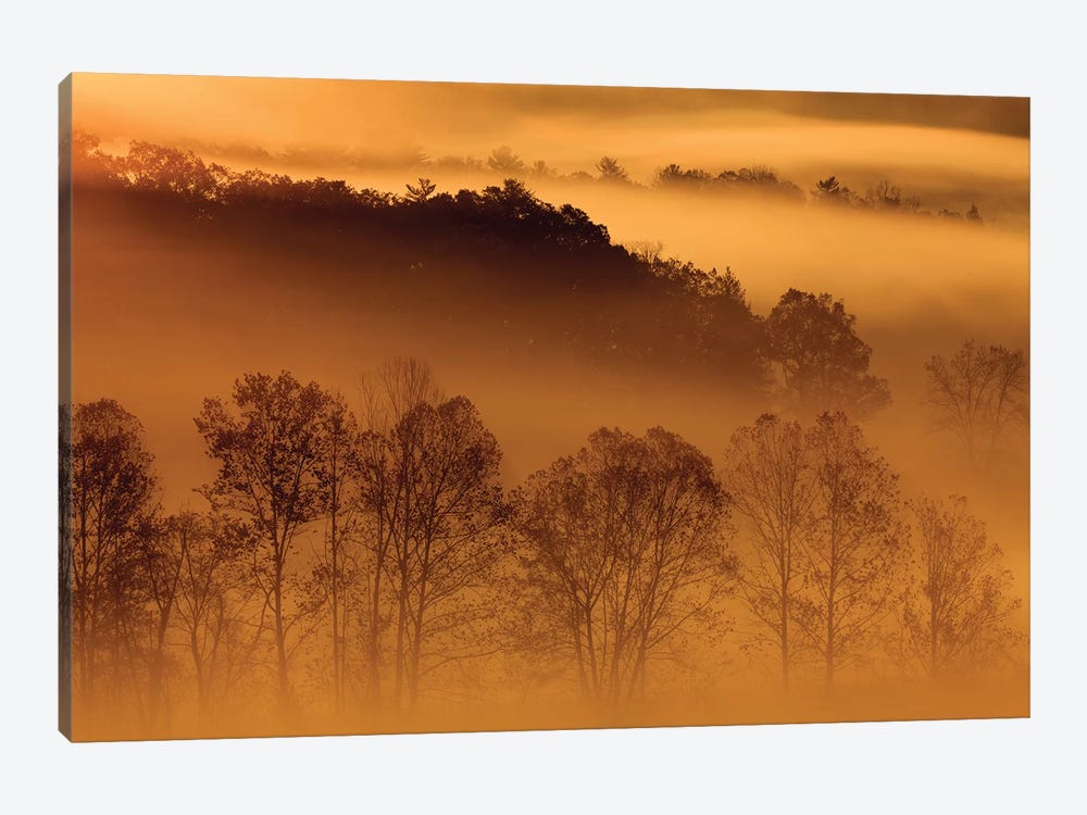 USA, Tennessee. Early morning fog in the Smoky Mountains. by Joanne Wells 1-piece Canvas Art