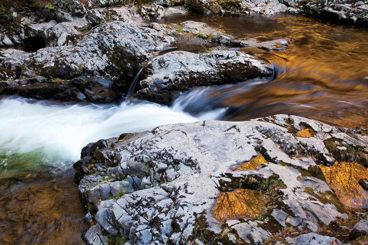 USA, Tennessee. Reflections along the Little River in the Smoky Mountains. by Joanne Wells wall art