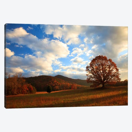 Late Autumn Sunrise, Cades Cove, Great Smoky Mountains National Park, Tennessee, USA Canvas Print #ANN4} by Joanne Wells Canvas Art Print