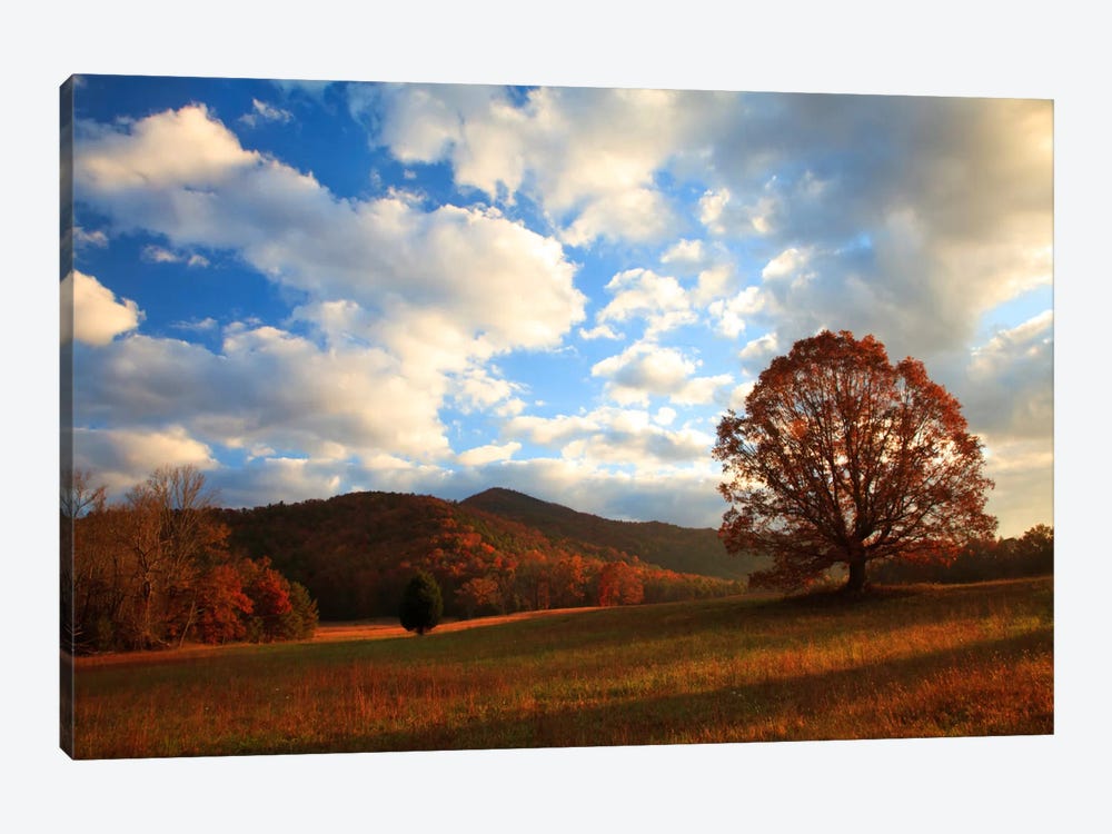 Late Autumn Sunrise, Cades Cove, Great Smoky Mountains National Park, Tennessee, USA by Joanne Wells 1-piece Canvas Artwork