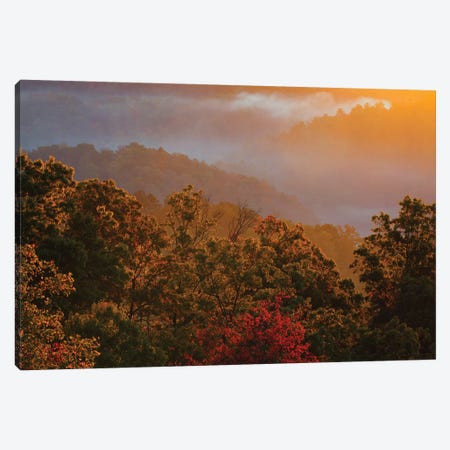 USA, Tennessee. Great Smoky Mountain National Park, trees and fog at sunrise. Canvas Print #ANN6} by Joanne Wells Art Print