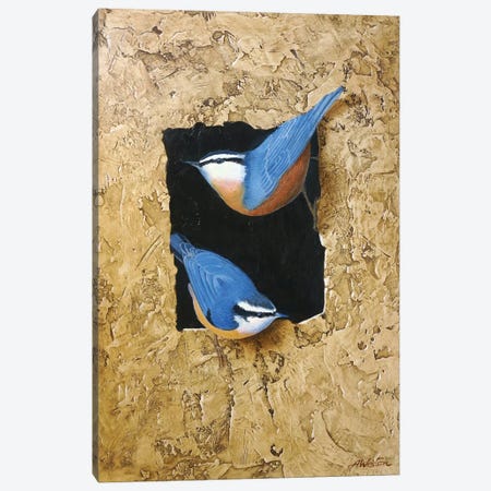 Blue Tit Canvas Print #ANO111} by Alan Weston Art Print