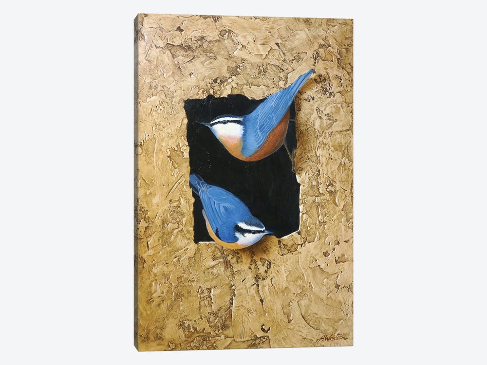 Blue Tit by Alan Weston 1-piece Art Print