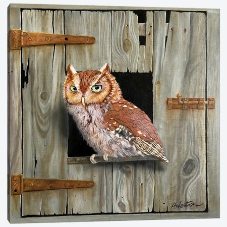 Brown Owl Canvas Print #ANO118} by Alan Weston Canvas Print