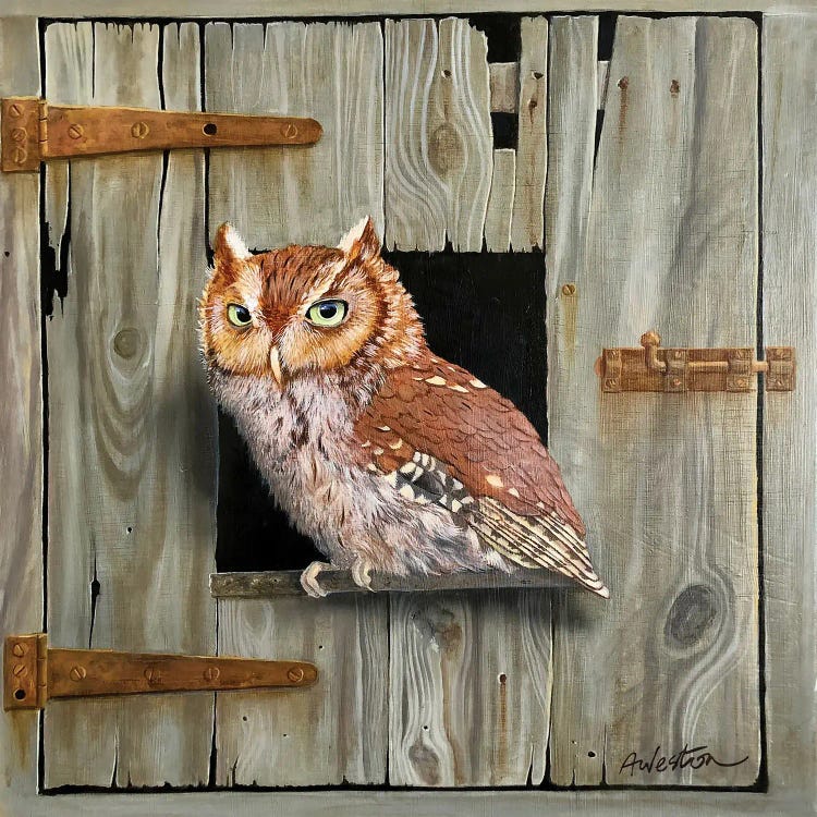 Brown Owl