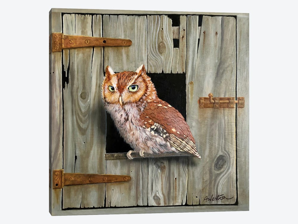 Brown Owl by Alan Weston 1-piece Canvas Wall Art