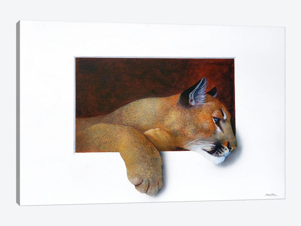 Cougar by Alan Weston 1-piece Canvas Artwork
